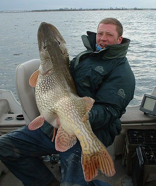 Record Northern Pike