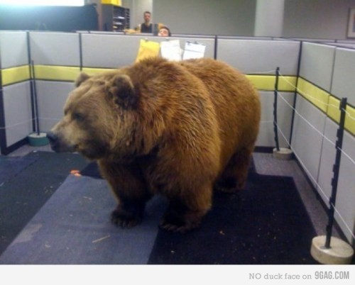 Pretty standard April fools day in the office.