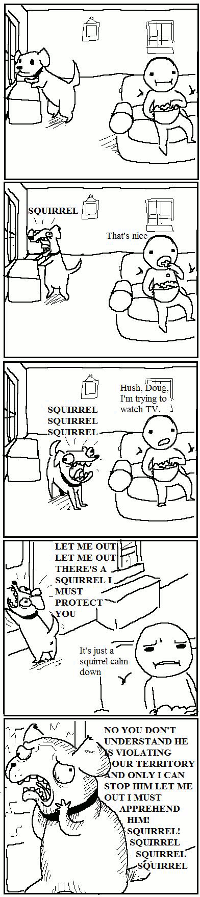 squirrel