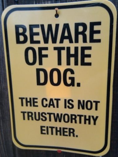 Beware of the dog