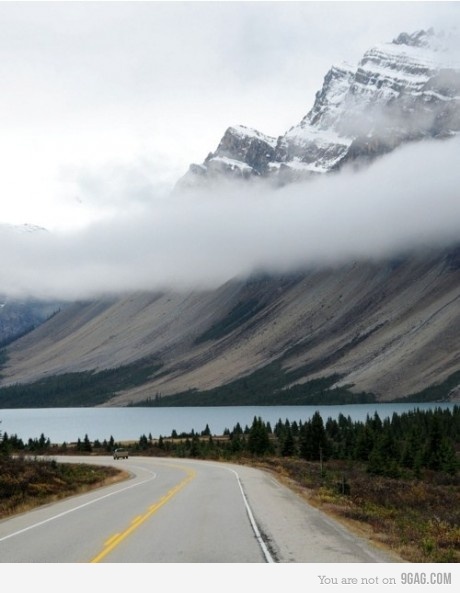 same - picture optical illusion