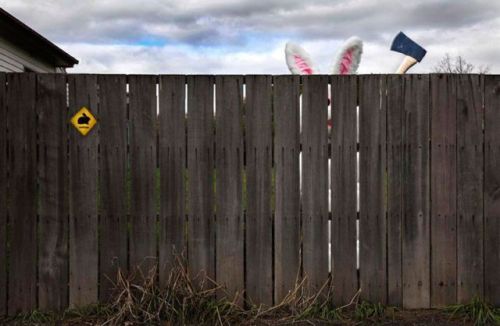 bewareofbunny Beware of bunny