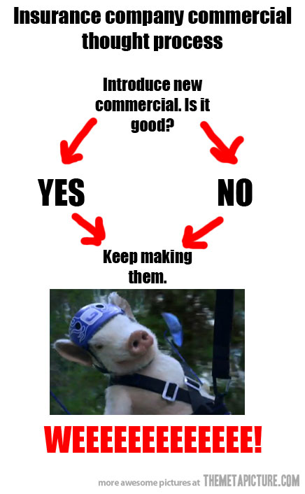 GEICO commercial with the pig