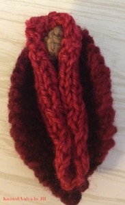 Male congressmen now being inundated with knit and crocheted vag