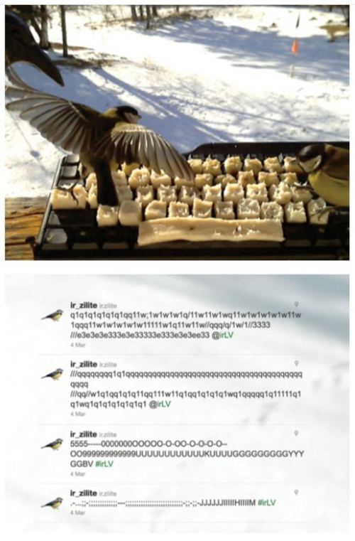 Nice keyboard set-up for wild birds to tweet while eating bird seed.