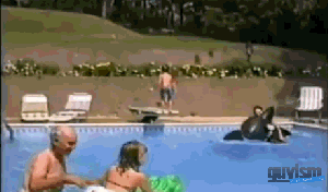 Back Flip Fail