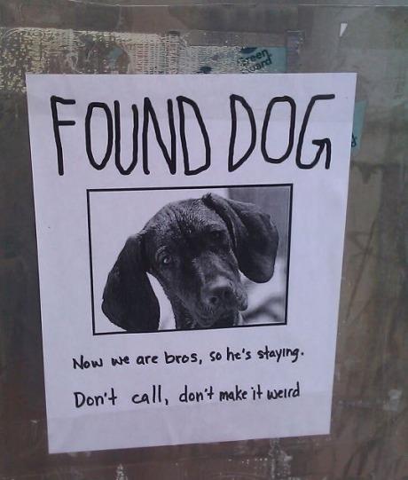 found dog poster