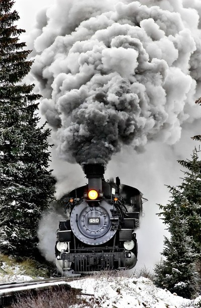 winter train