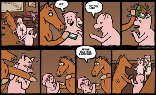 Horse with no sense of humor.