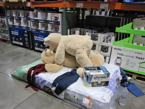 Teddy Bears at Costco