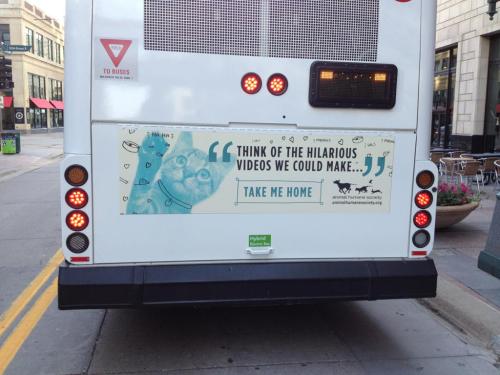 advertising, marketing