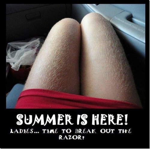 summer-is-here_small