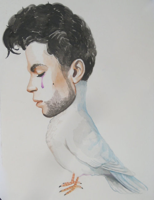 doves cry