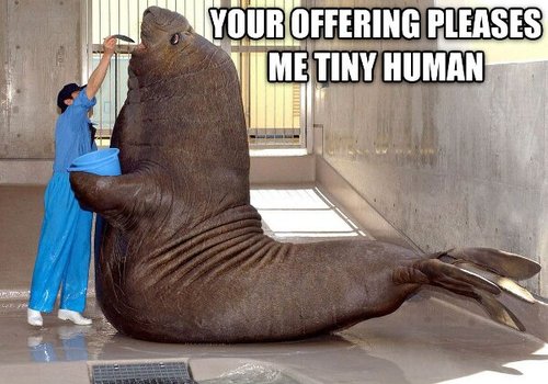 Your offering pleases me