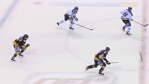 Hockey Stick Assist
