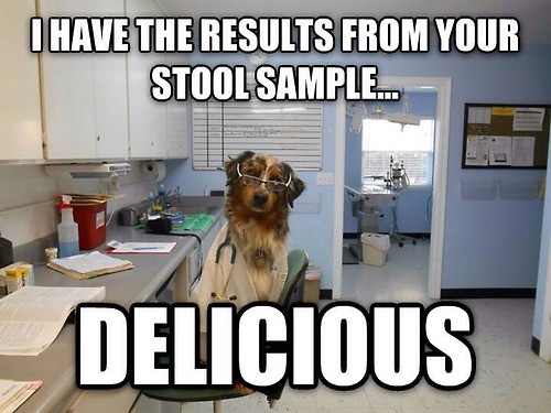Stool sample results