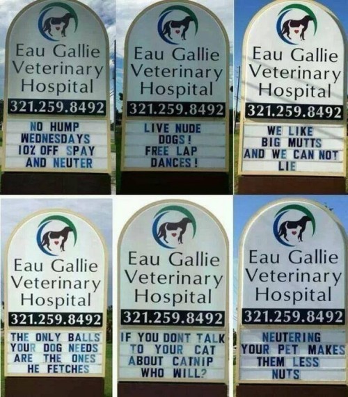 Eau Gallie Veterinary Hospital