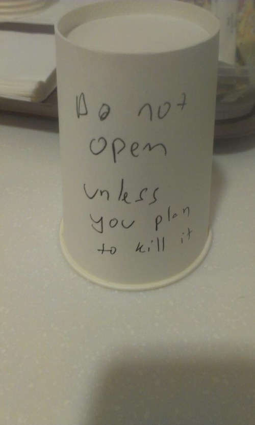 cup prank