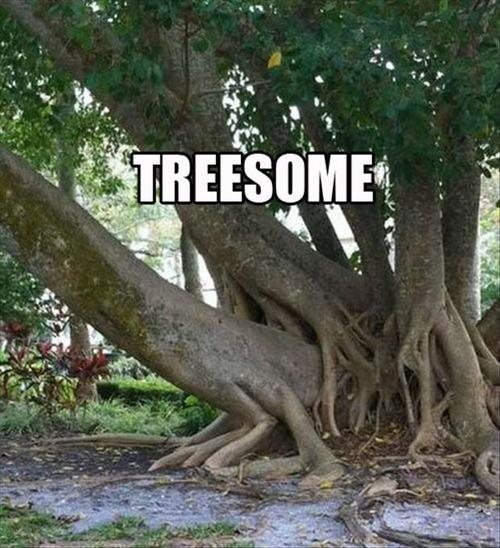 Treesome