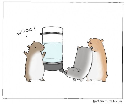 Ain't nothing but a hampster party