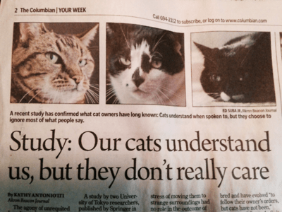 cat research