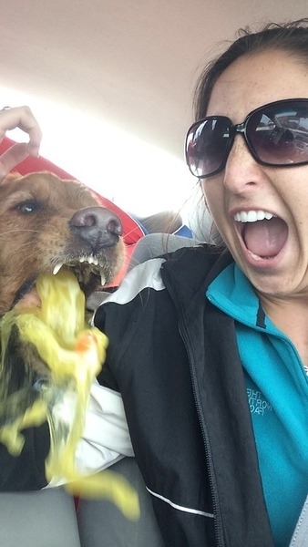 Perfectly timed dog selfie