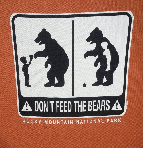bears