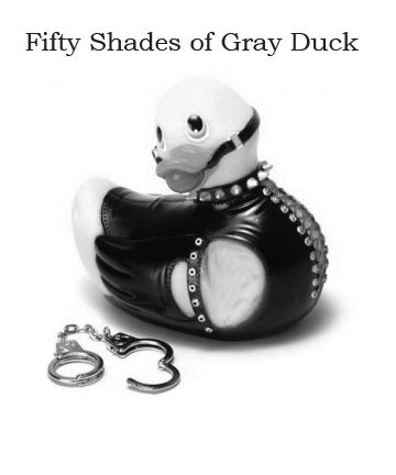 fifty shades of grey