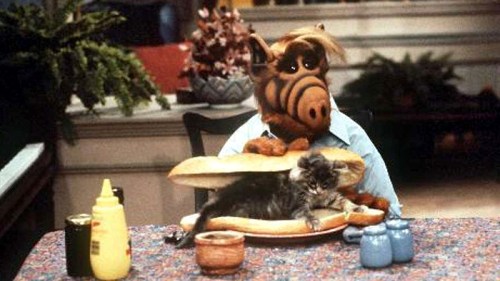 ALF cat sandwich
