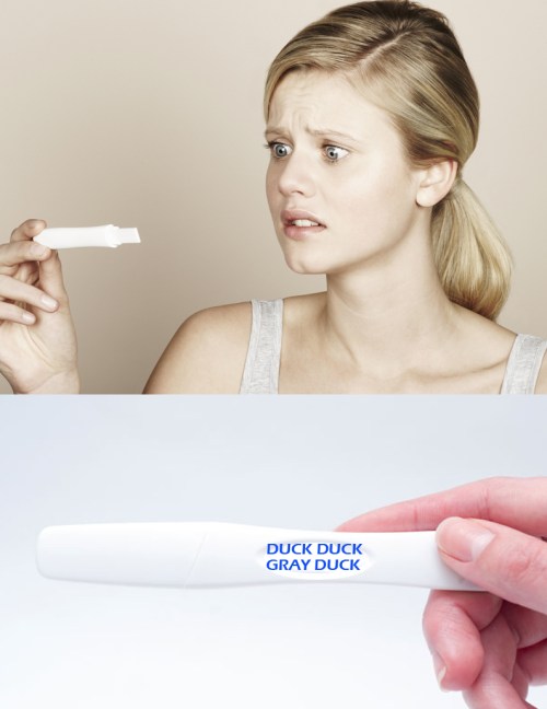 pregnancy test