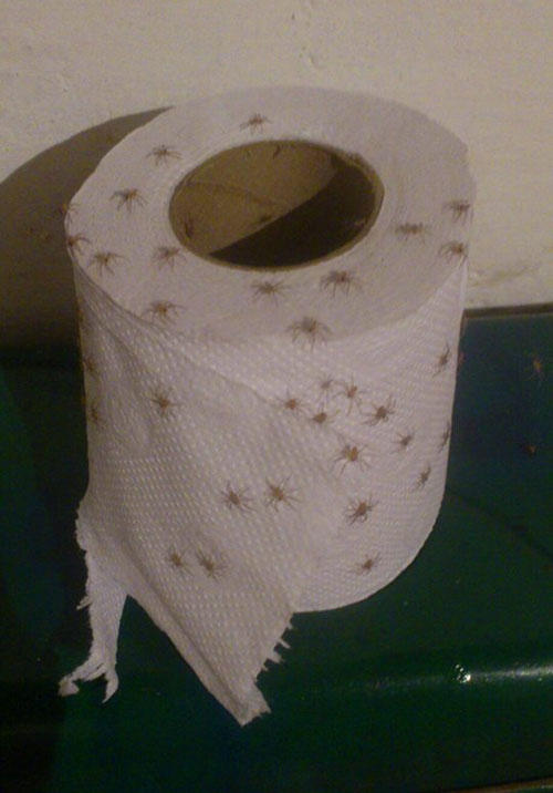 spider toilet paper