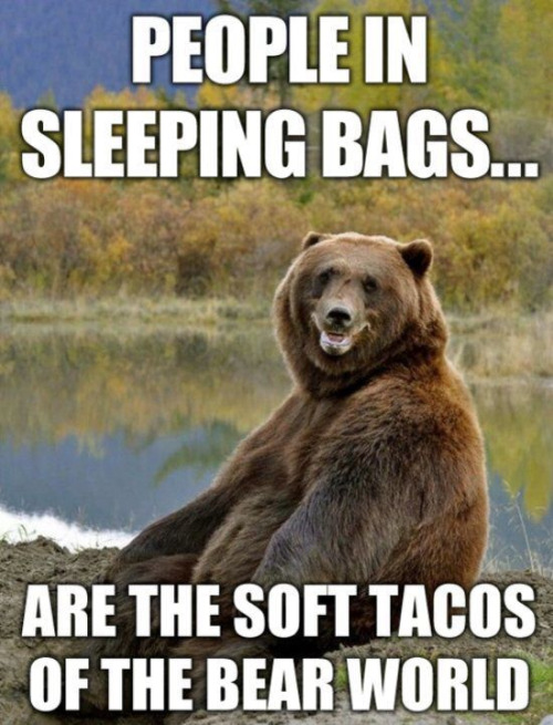 Bear Sleeping Bags