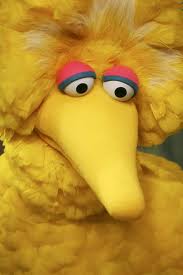 big bird sad