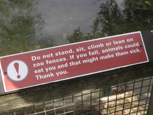 Perfect Zoo Warning
