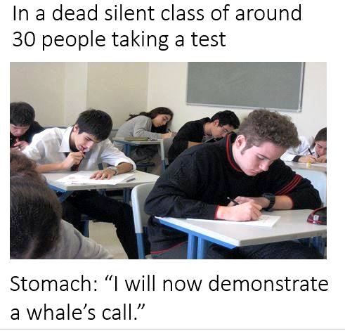 stomach sounds