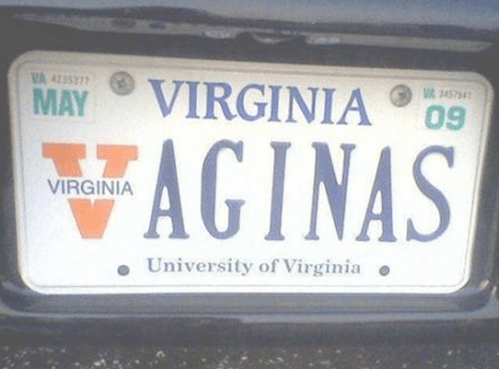 funny Virginia license plate
