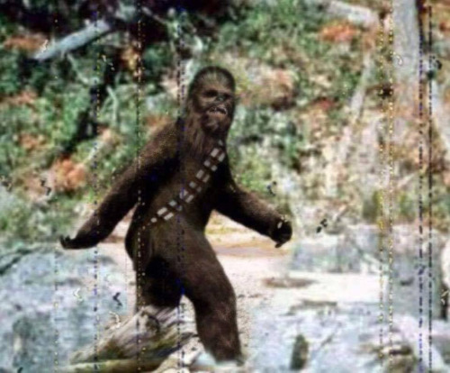 Patterson-Gimlin Bigfoot film