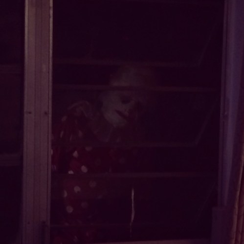 Caught on camera outside a bedroom window in Naples.