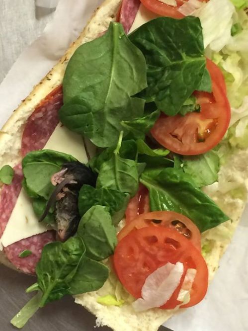 Man finds dead mouse in his Subway sandwich and snaps photo