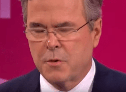 jeb