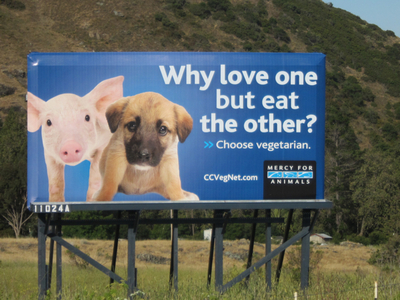 bacon billboard