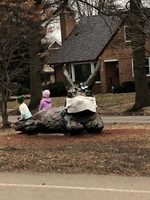 minnehaha parkway rabbit