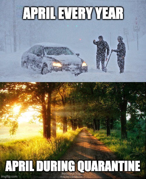 mn during quarantine