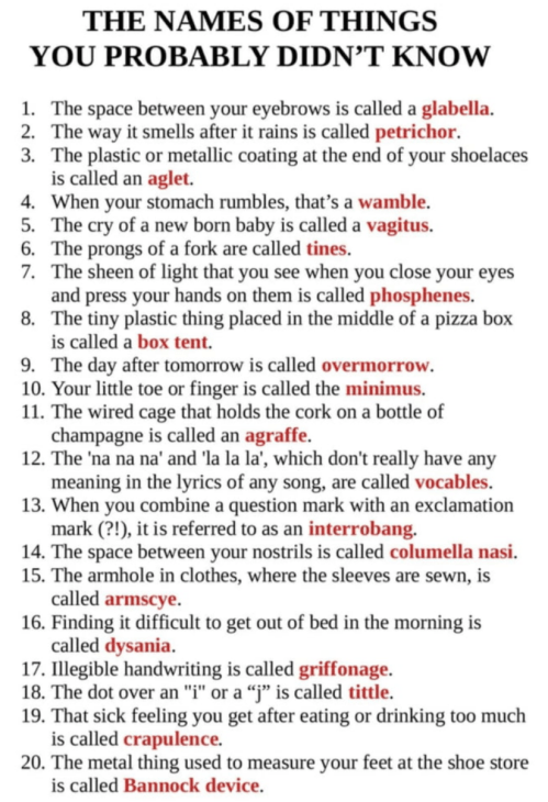 names of common things